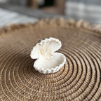 S H E L L Ring holder Beige marble