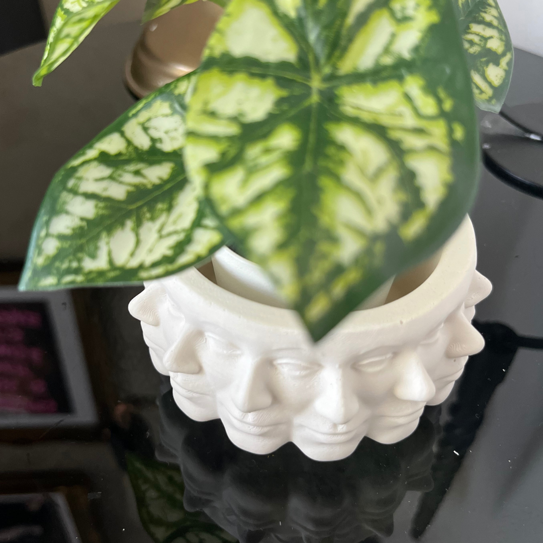 C A T Y Vase White