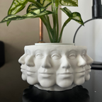 C A T Y Vase White