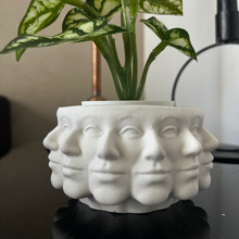 Load image into Gallery viewer, C A T Y Vase White
