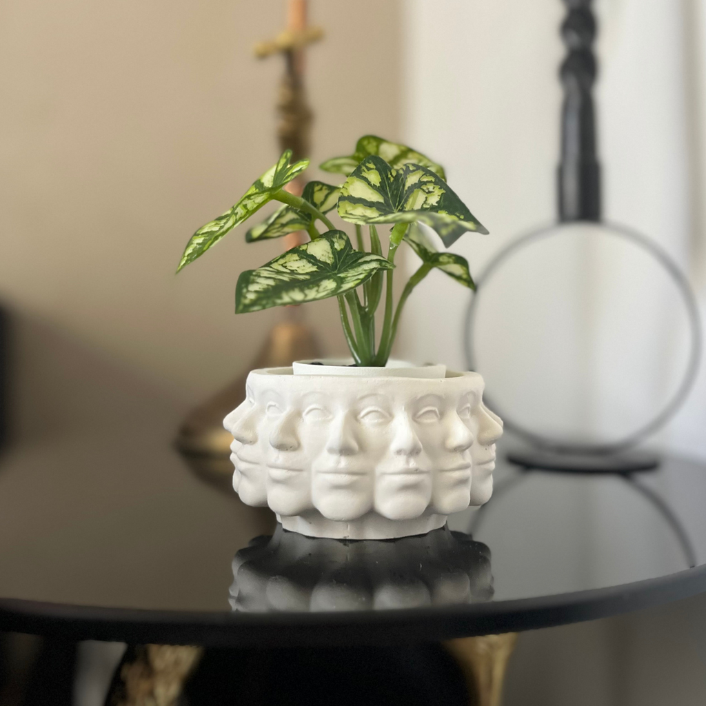C A T Y Vase White