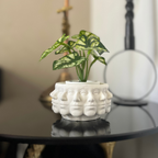 C A T Y Vase White