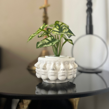 Load image into Gallery viewer, C A T Y Vase White
