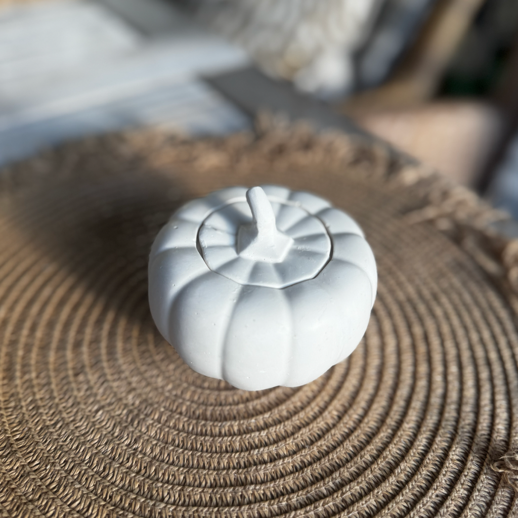 Decorative Pumpkin Large – White