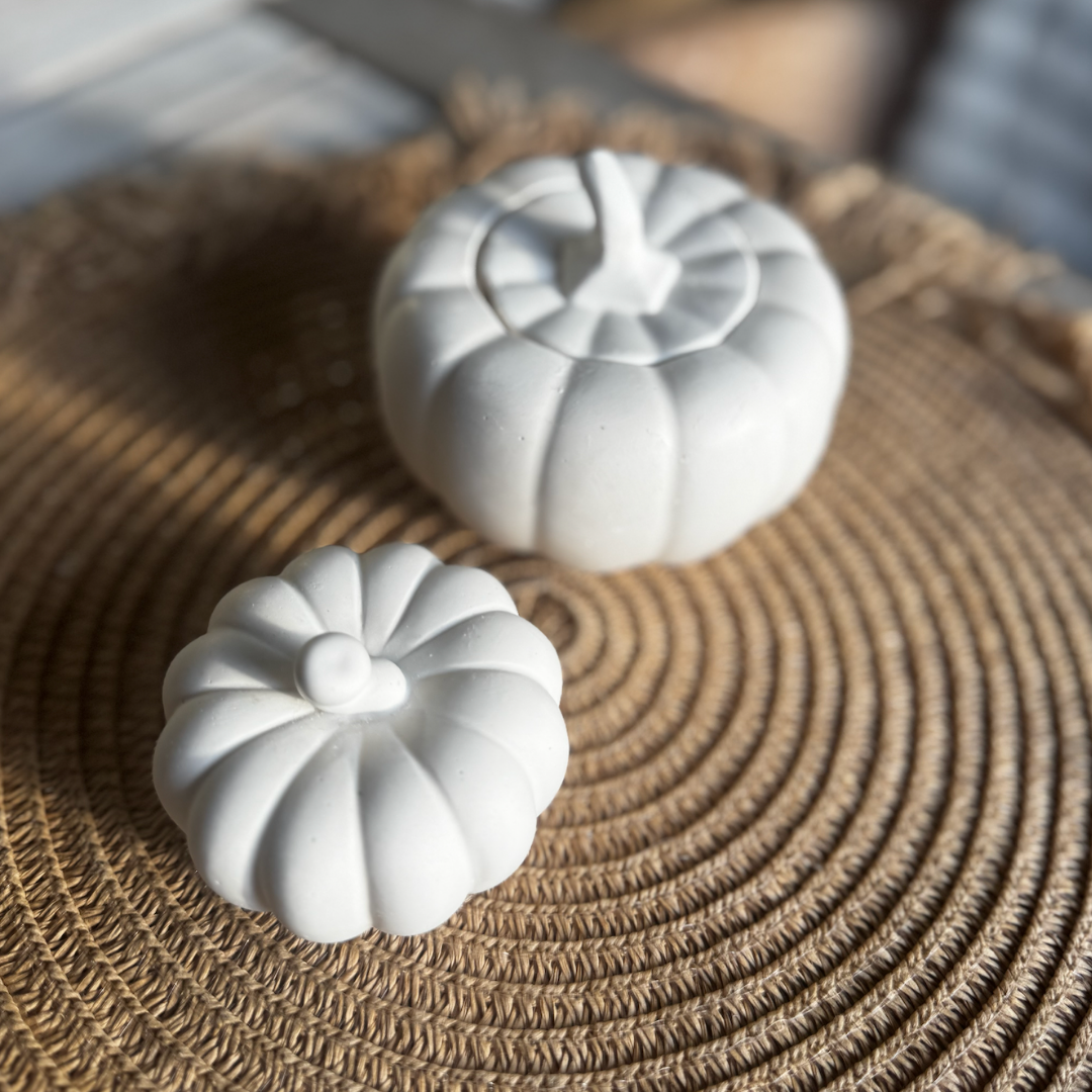 Decorative Pumpkin Small – White