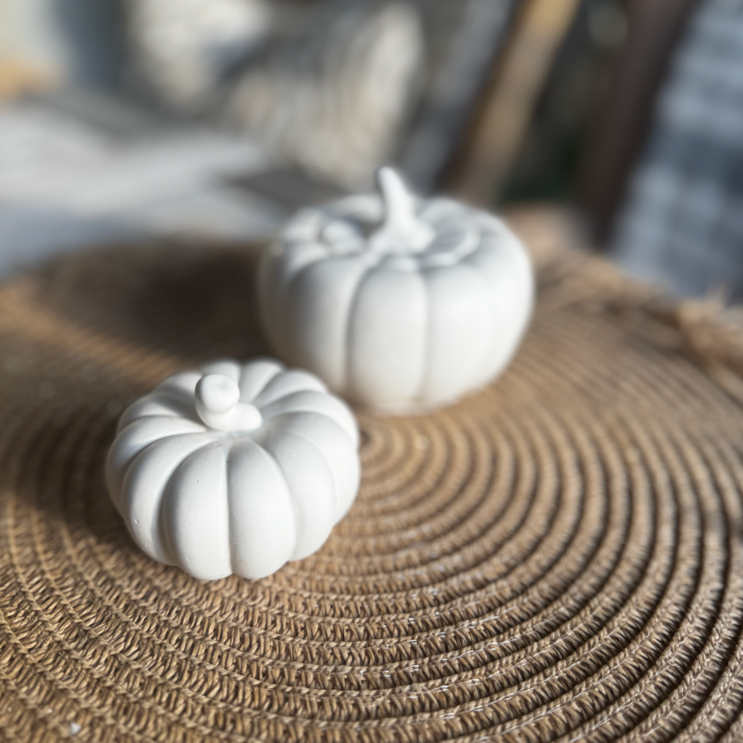Decorative Pumpkin Small – White